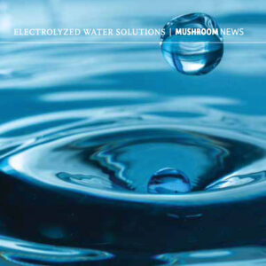 Water droplet leaving a ripple in a body of water