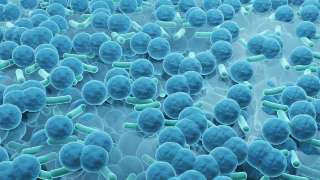 Illustration of bacteria in a large quantity